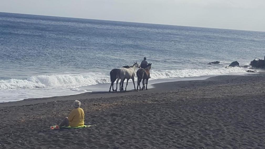 ثيرا Santorini Pleasure Studios المظهر الخارجي الصورة